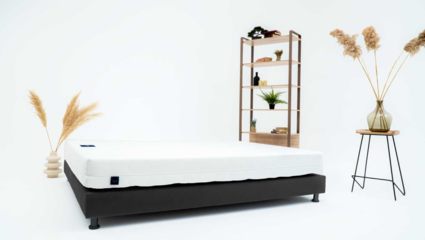 Матрас Materlux ECOLOGIC DREAM MAXI 31