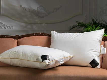 Подушка Trois Couronnes Clima Night Goose Down Pillow 219